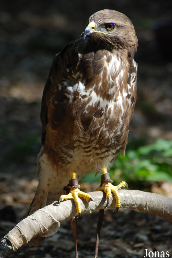 Zoo Olomouc