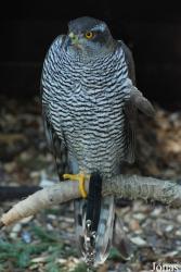 Zoo Olomouc