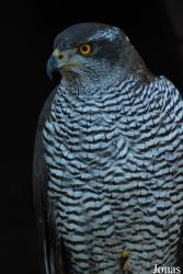 Zoo Olomouc