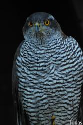 Zoo Olomouc
