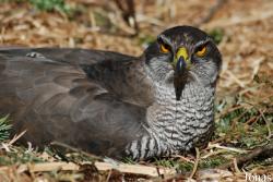 Zoo Olomouc
