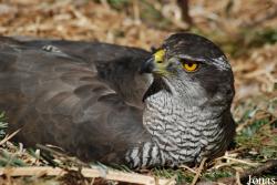 Zoo Olomouc