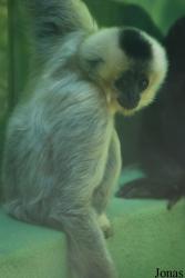 Zoo Olomouc