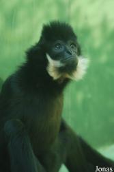 Zoo Olomouc