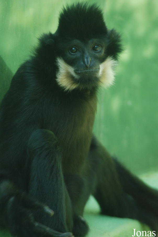 Zoo Olomouc