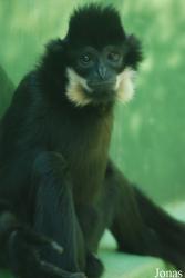 Zoo Olomouc