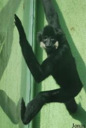 Zoo Olomouc
