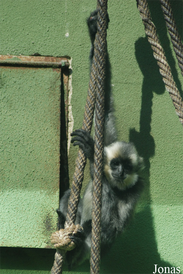 Zoo Olomouc