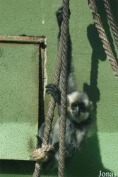 Zoo Olomouc
