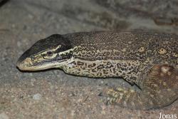 Zoo Olomouc