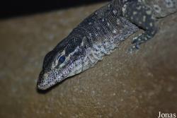 Zoo Olomouc