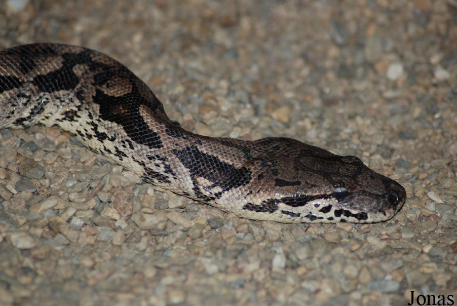 Zoo Olomouc