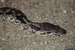 Zoo Olomouc
