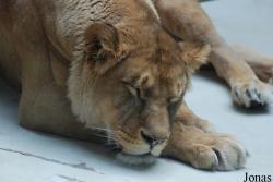Zoo Olomouc