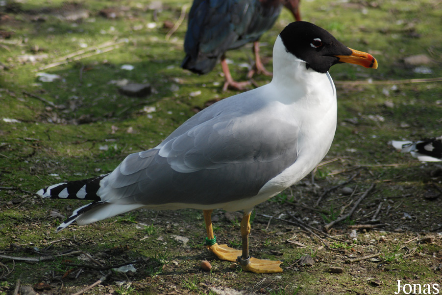 Zoo Olomouc