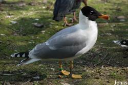 Zoo Olomouc
