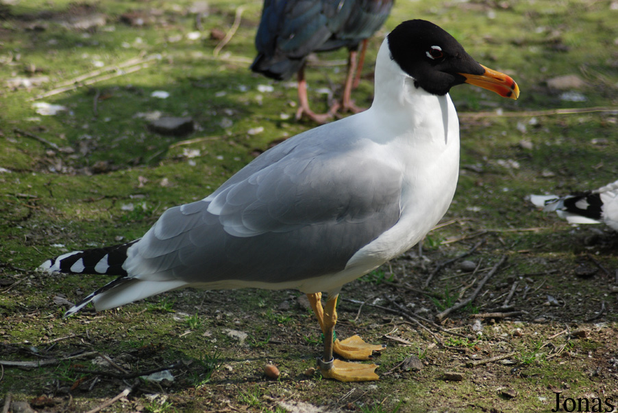 Zoo Olomouc
