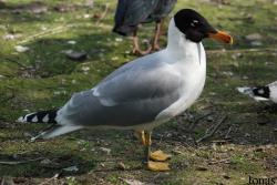 Zoo Olomouc