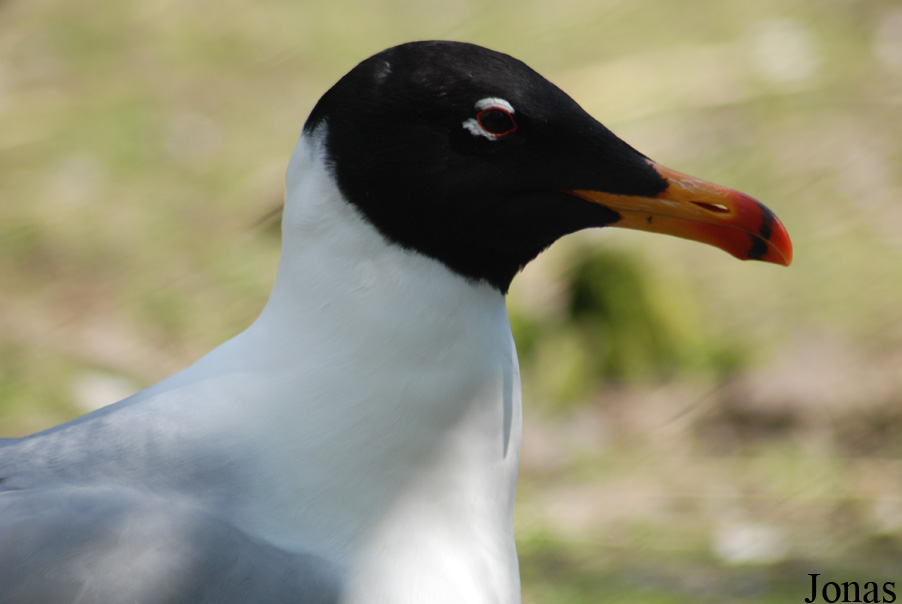 Zoo Olomouc