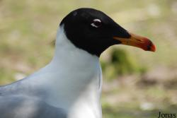 Zoo Olomouc