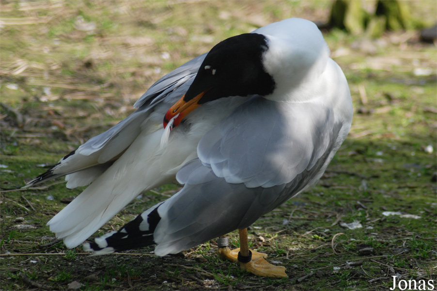 Zoo Olomouc