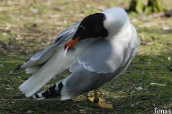 Zoo Olomouc