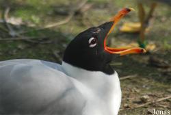 Zoo Olomouc