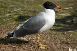 Zoo Olomouc