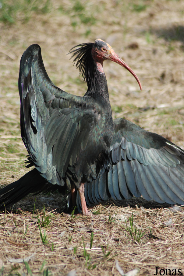 Zoo Olomouc