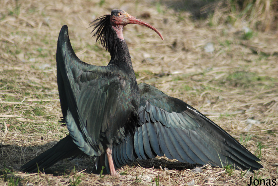 Zoo Olomouc