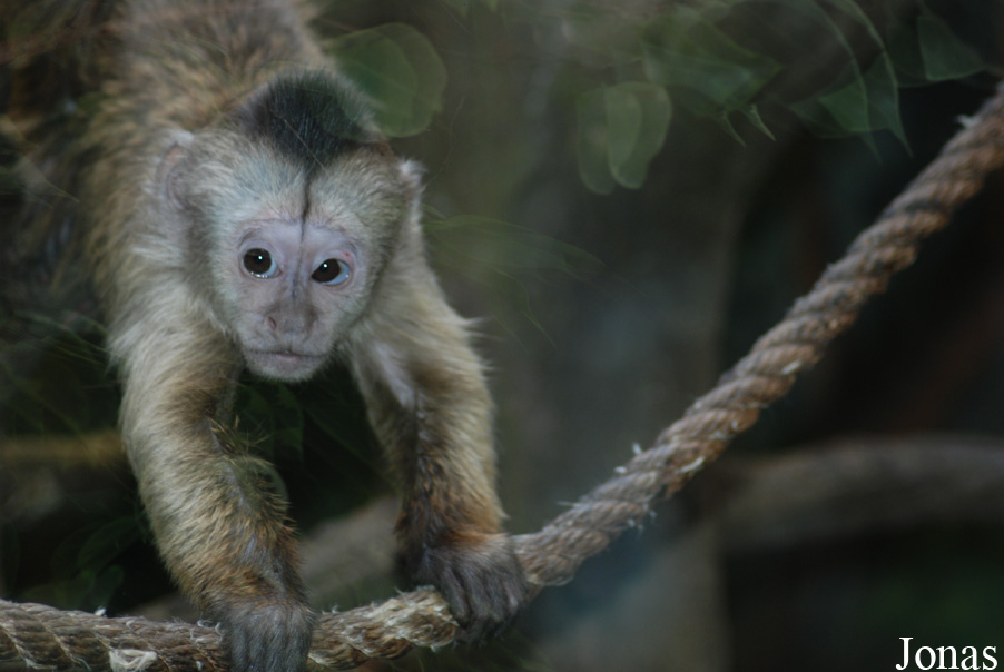 Zoo Olomouc