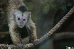 Zoo Olomouc