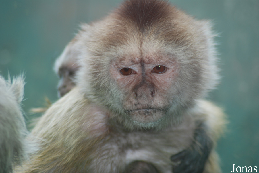Zoo Olomouc