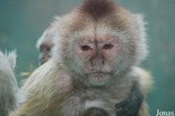 Zoo Olomouc