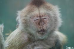 Zoo Olomouc