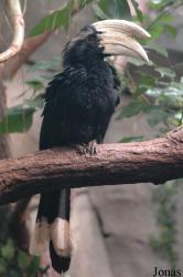 Zoo Köln