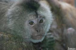 Zoo Olomouc