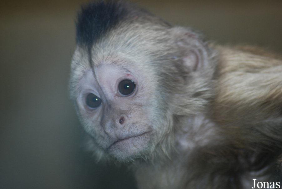 Zoo Olomouc