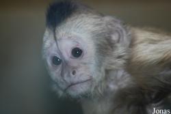 Zoo Olomouc