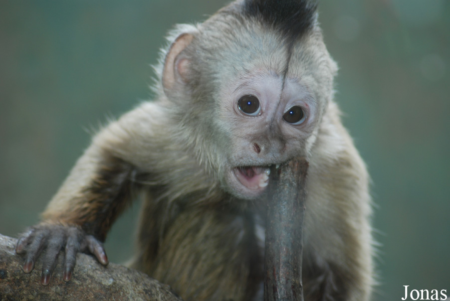 Zoo Olomouc
