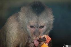 Zoo Olomouc