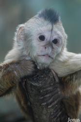 Zoo Olomouc