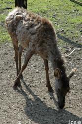 Zoo Olomouc