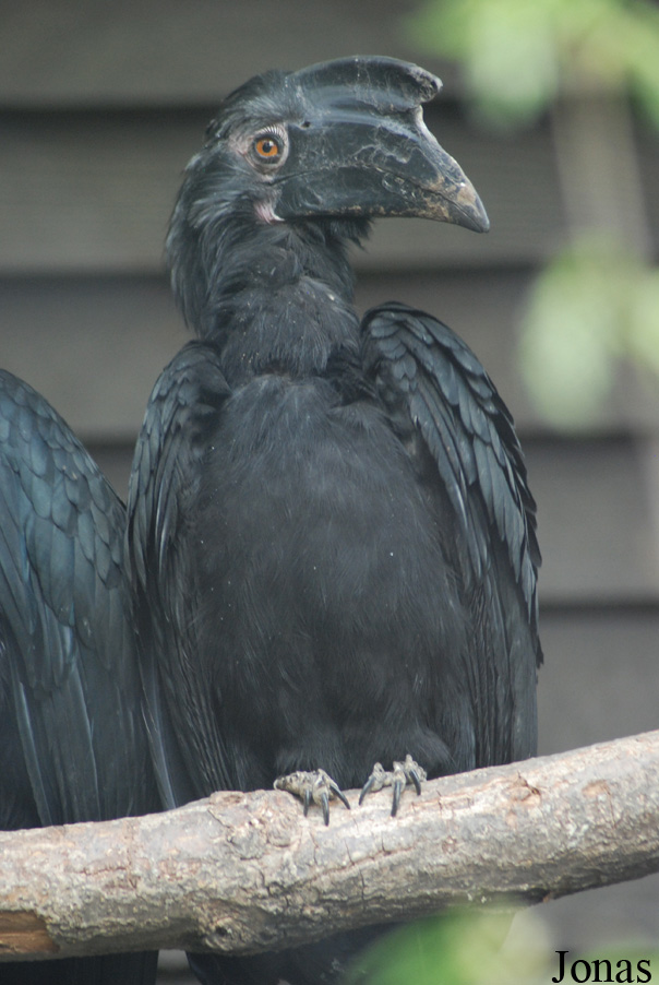 Zoo Olomouc