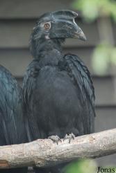 Zoo Olomouc