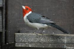 Zoo Olomouc