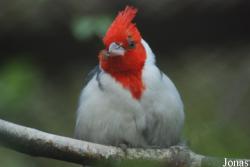 Zoo Olomouc