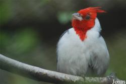 Zoo Olomouc
