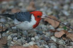 Zoo Olomouc