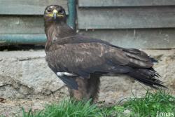Zoo Olomouc